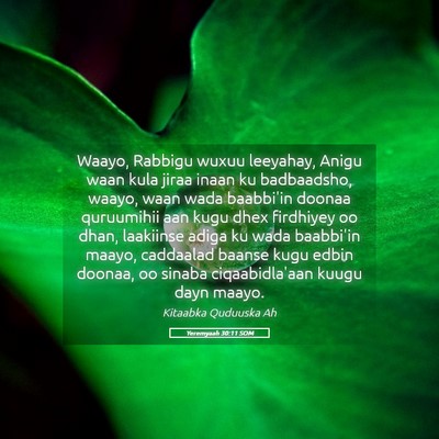 Picture 05 - Yeremyaah 30:11 SOM - Waayo, Rabbigu wuxuu leeyahay, Anigu waan kula - Bible Verse Picture