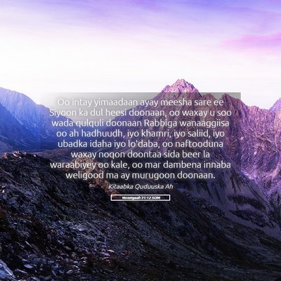 Picture 05 - Yeremyaah 31:12 SOM - Oo intay yimaadaan ayay meesha sare ee Siyoon ka - Bible Verse Picture