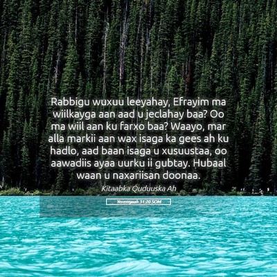 Picture 05 - Yeremyaah 31:20 SOM - Rabbigu wuxuu leeyahay, Efrayim ma wiilkayga aan - Bible Verse Picture