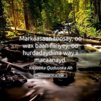 Picture 05 - Yeremyaah 31:26 SOM - Markaasaan toosay, oo wax baan fiiriyey, oo - Bible Verse Picture