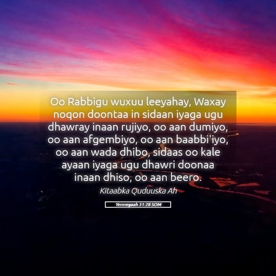 Picture 05 - Yeremyaah 31:28 SOM - Oo Rabbigu wuxuu leeyahay, Waxay noqon doontaa in - Bible Verse Picture