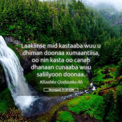 Picture 05 - Yeremyaah 31:30 SOM - Laakiinse mid kastaaba wuu u dhiman doonaa - Bible Verse Picture