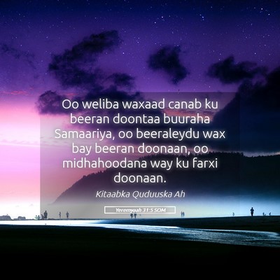 Picture 05 - Yeremyaah 31:5 SOM - Oo weliba waxaad canab ku beeran doontaa buuraha - Bible Verse Picture