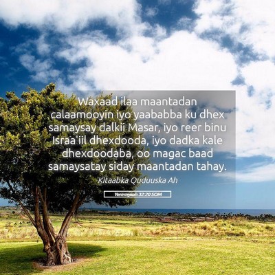 Picture 05 - Yeremyaah 32:20 SOM - Waxaad ilaa maantadan calaamooyin iyo yaababba ku - Bible Verse Picture