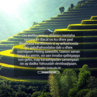 Picture 05 - Yeremyaah 32:35 SOM - Oo weliba waxay dhiseen meelaha sarsare ee Bacal - Bible Verse Picture