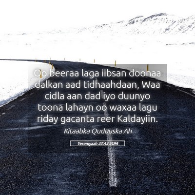 Picture 05 - Yeremyaah 32:43 SOM - Oo beeraa laga iibsan doonaa dalkan aad - Bible Verse Picture