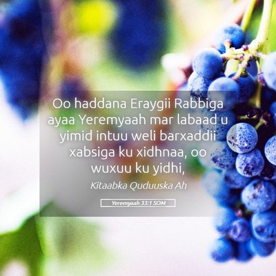 Picture 05 - Yeremyaah 33:1 SOM - Oo haddana Eraygii Rabbiga ayaa Yeremyaah mar - Bible Verse Picture