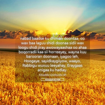 Picture 05 - Yeremyaah 34:5 SOM - nabad baadse ku dhiman doontaa, oo wax baa laguu - Bible Verse Picture