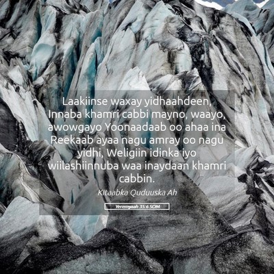 Picture 05 - Yeremyaah 35:6 SOM - Laakiinse waxay yidhaahdeen, Innaba khamri cabbi - Bible Verse Picture