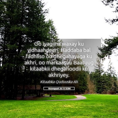 Picture 05 - Yeremyaah 36:15 SOM - Oo iyagiina waxay ku yidhaahdeen, Haddaba bal - Bible Verse Picture