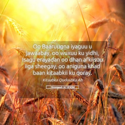 Picture 05 - Yeremyaah 36:18 SOM - Oo Baaruugna iyaguu u jawaabay, oo wuxuu ku - Bible Verse Picture