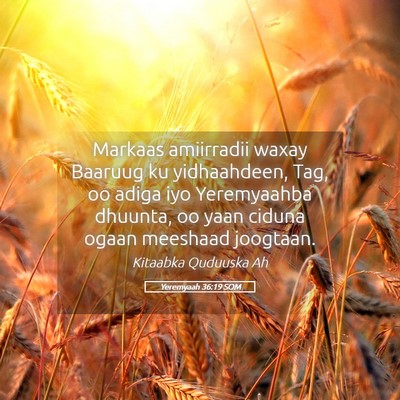Picture 05 - Yeremyaah 36:19 SOM - Markaas amiirradii waxay Baaruug ku yidhaahdeen, - Bible Verse Picture