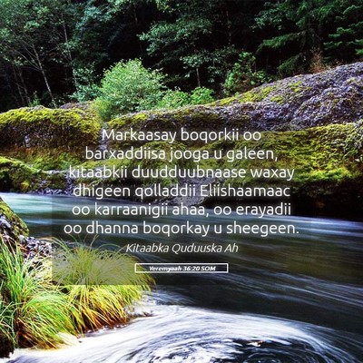 Picture 05 - Yeremyaah 36:20 SOM - Markaasay boqorkii oo barxaddiisa jooga u galeen, - Bible Verse Picture