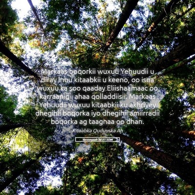 Picture 05 - Yeremyaah 36:21 SOM - Markaas boqorkii wuxuu Yehuudii u diray inuu - Bible Verse Picture
