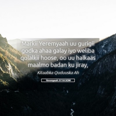 Picture 05 - Yeremyaah 37:16 SOM - Markii Yeremyaah uu gurigii godka ahaa galay iyo - Bible Verse Picture