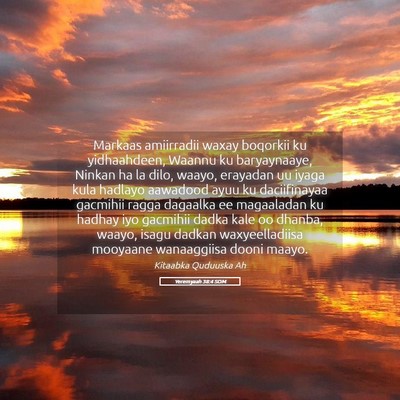 Picture 05 - Yeremyaah 38:4 SOM - Markaas amiirradii waxay boqorkii ku yidhaahdeen, - Bible Verse Picture