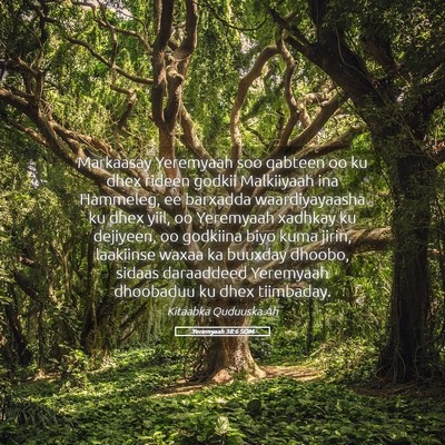 Picture 05 - Yeremyaah 38:6 SOM - Markaasay Yeremyaah soo qabteen oo ku dhex rideen - Bible Verse Picture