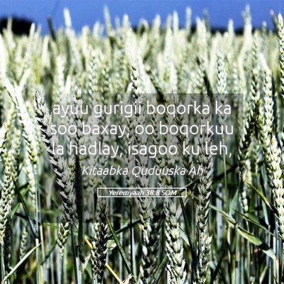 Picture 05 - Yeremyaah 38:8 SOM - ayuu gurigii boqorka ka soo baxay, oo boqorkuu la - Bible Verse Picture