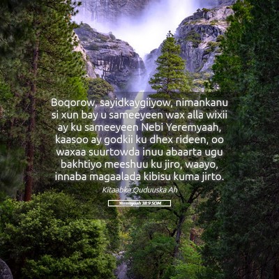 Picture 05 - Yeremyaah 38:9 SOM - Boqorow, sayidkaygiiyow, nimankanu si xun bay u - Bible Verse Picture