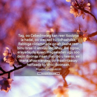 Picture 05 - Yeremyaah 39:16 SOM - Tag, oo Cebedmeleg kan reer Itoobiya la hadal, oo - Bible Verse Picture