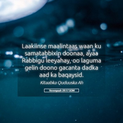 Picture 05 - Yeremyaah 39:17 SOM - Laakiinse maalintaas waan ku samatabbixin doonaa, - Bible Verse Picture