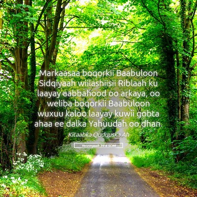 Picture 05 - Yeremyaah 39:6 SOM - Markaasaa boqorkii Baabuloon Sidqiyaah - Bible Verse Picture