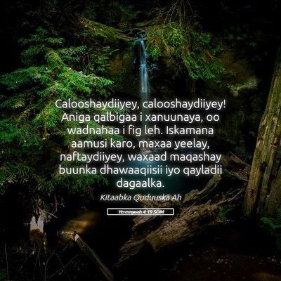 Picture 05 - Yeremyaah 4:19 SOM - Calooshaydiiyey, calooshaydiiyey! Aniga qalbigaa - Bible Verse Picture