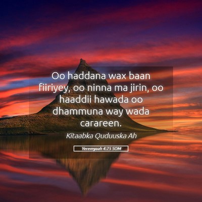 Picture 05 - Yeremyaah 4:25 SOM - Oo haddana wax baan fiiriyey, oo ninna ma jirin, - Bible Verse Picture