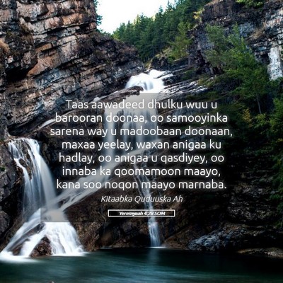 Picture 05 - Yeremyaah 4:28 SOM - Taas aawadeed dhulku wuu u barooran doonaa, oo - Bible Verse Picture