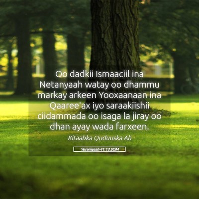 Picture 05 - Yeremyaah 41:13 SOM - Oo dadkii Ismaaciil ina Netanyaah watay oo dhammu - Bible Verse Picture