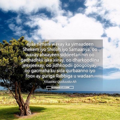 Picture 05 - Yeremyaah 41:5 SOM - ayaa nimani waxay ka yimaadeen Shekem iyo Shiiloh - Bible Verse Picture