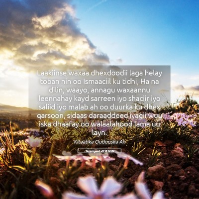 Picture 05 - Yeremyaah 41:8 SOM - Laakiinse waxaa dhexdoodii laga helay toban nin - Bible Verse Picture