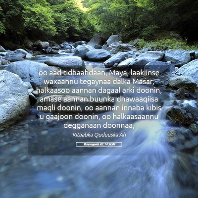 Picture 05 - Yeremyaah 42:14 SOM - oo aad tidhaahdaan, Maya, laakiinse waxaannu - Bible Verse Picture