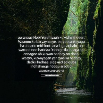 Picture 05 - Yeremyaah 42:2 SOM - oo waxay Nebi Yeremyaah ku yidhaahdeen, Waannu ku - Bible Verse Picture