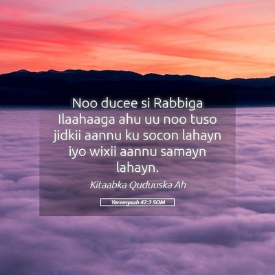 Picture 05 - Yeremyaah 42:3 SOM - Noo ducee si Rabbiga Ilaahaaga ahu uu noo tuso - Bible Verse Picture