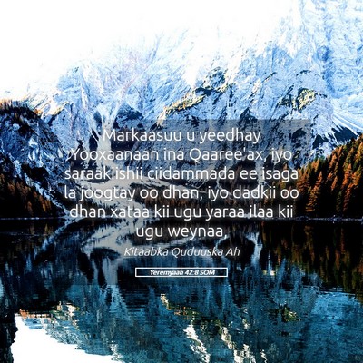 Picture 05 - Yeremyaah 42:8 SOM - Markaasuu u yeedhay Yooxaanaan ina Qaaree'ax, iyo - Bible Verse Picture