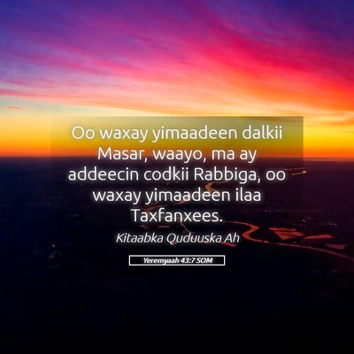 Picture 05 - Yeremyaah 43:7 SOM - Oo waxay yimaadeen dalkii Masar, waayo, ma ay - Bible Verse Picture