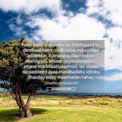 Picture 05 - Yeremyaah 44:23 SOM - Foox baad shiddeen, oo Rabbigaad ku dembaabteen, - Bible Verse Picture