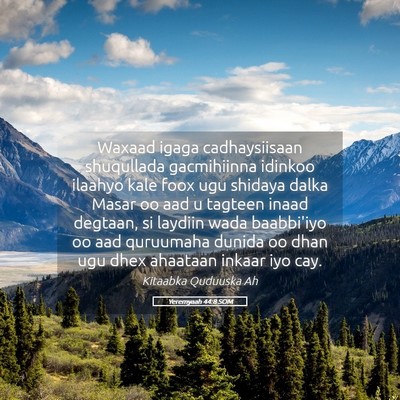 Picture 05 - Yeremyaah 44:8 SOM - Waxaad igaga cadhaysiisaan shuqullada gacmihiinna - Bible Verse Picture