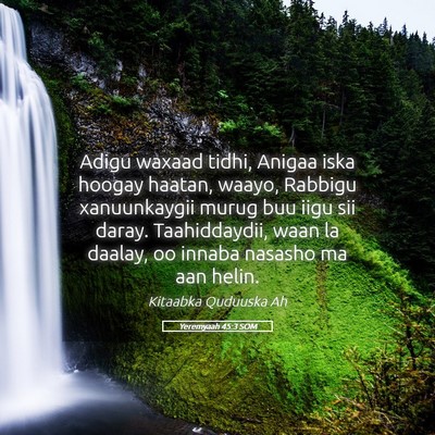 Picture 05 - Yeremyaah 45:3 SOM - Adigu waxaad tidhi, Anigaa iska hoogay haatan, - Bible Verse Picture