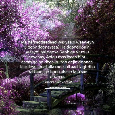 Picture 05 - Yeremyaah 45:5 SOM - Ma nafsaddaadaad waxyaalo waaweyn u - Bible Verse Picture