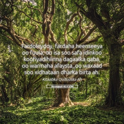 Picture 05 - Yeremyaah 46:4 SOM - Fardoleydoy, fardaha heenseeya oo fuula, oo isa - Bible Verse Picture