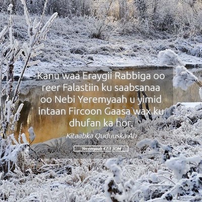 Picture 05 - Yeremyaah 47:1 SOM - Kanu waa Eraygii Rabbiga oo reer Falastiin ku - Bible Verse Picture