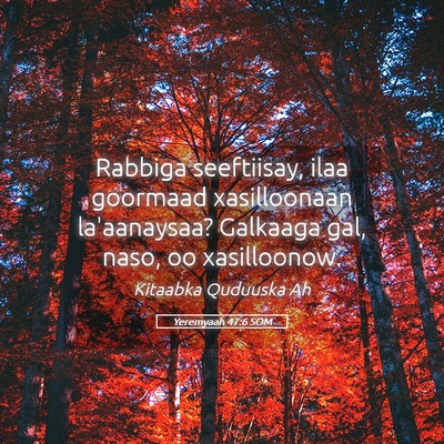 Picture 05 - Yeremyaah 47:6 SOM - Rabbiga seeftiisay, ilaa goormaad xasilloonaan - Bible Verse Picture
