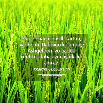 Picture 05 - Yeremyaah 47:7 SOM - Sidee baad u xasilli kartaa, iyadoo uu Rabbigu ku - Bible Verse Picture