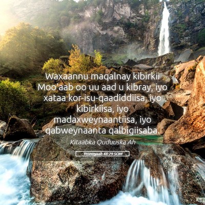 Picture 05 - Yeremyaah 48:29 SOM - Waxaannu maqalnay kibirkii Moo'aab oo uu aad u - Bible Verse Picture