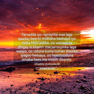 Picture 05 - Yeremyaah 48:33 SOM - Farxadda iyo rayraynta waa laga qaaday beertii - Bible Verse Picture