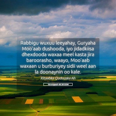 Picture 05 - Yeremyaah 48:38 SOM - Rabbigu wuxuu leeyahay, Guryaha Moo'aab dushooda, - Bible Verse Picture