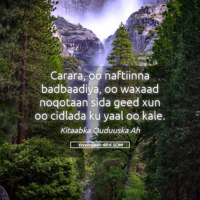 Picture 05 - Yeremyaah 48:6 SOM - Carara, oo naftiinna badbaadiya, oo waxaad - Bible Verse Picture
