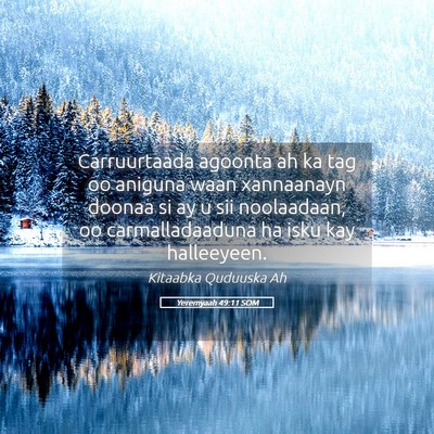 Picture 05 - Yeremyaah 49:11 SOM - Carruurtaada agoonta ah ka tag oo aniguna waan - Bible Verse Picture